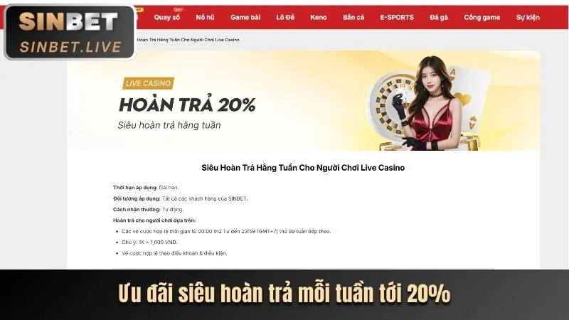 Dealer chia bài chuyên nghiệp tại BSport